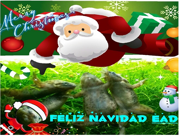 (VOTACIONES) Concurso Navidad 2014 - Foto + Toque navideño Croacn10