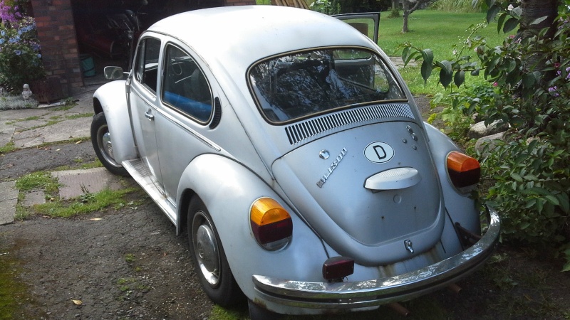 Cox silver bug 315