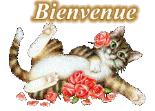 Je suis Orélyne 0bienv11