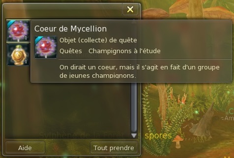 Niv.8 : Champignons à l'étude Aion0168