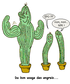 Quelques uns de mes cactus  Npk_311