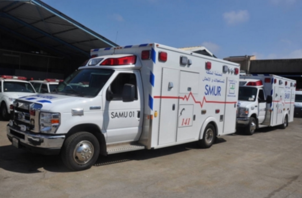 Services Ambulanciers Mobiles d'Urgence et de Réanimation (SAMU / SMUR) 13741510