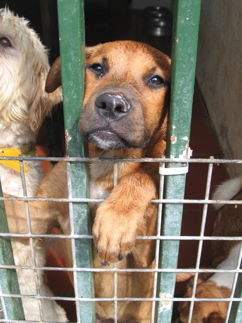 Tenemos más cachorrito... Puto verano :( 02710