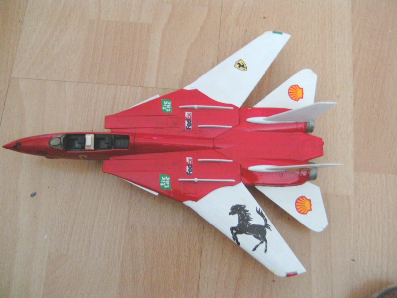 F-14 Tomcat Ferrari 1:48 Pict0110