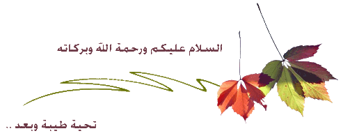 الطريقه المثلي لحفظ القرآن الكريم 1012