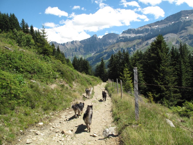 Randonnée aux Diablerets Les_di43