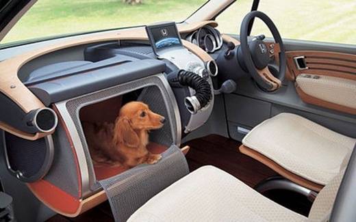Accessoires de mode pour chiens, pour ou contre ? - Page 6 Chine-10