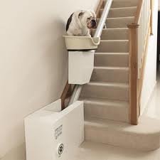 Accessoires de mode pour chiens, pour ou contre ? - Page 6 Images13