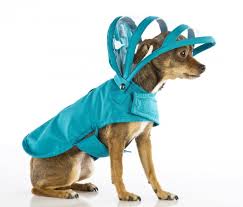 Accessoires de mode pour chiens, pour ou contre ?  - Page 6 Images26