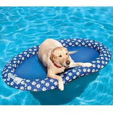 Accessoires de mode pour chiens, pour ou contre ? - Page 6 Images27