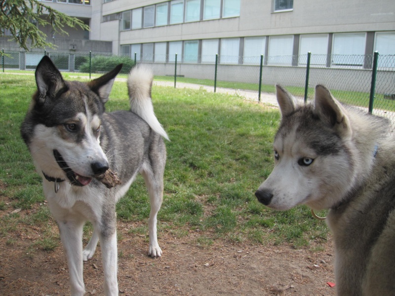 Saskia et Jiro, partie 2 1022