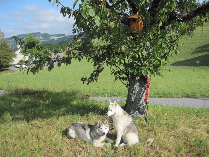 Saskia et Jiro, partie 2 118