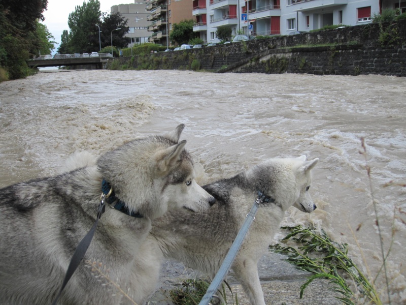 Saskia et Jiro, partie 2 121