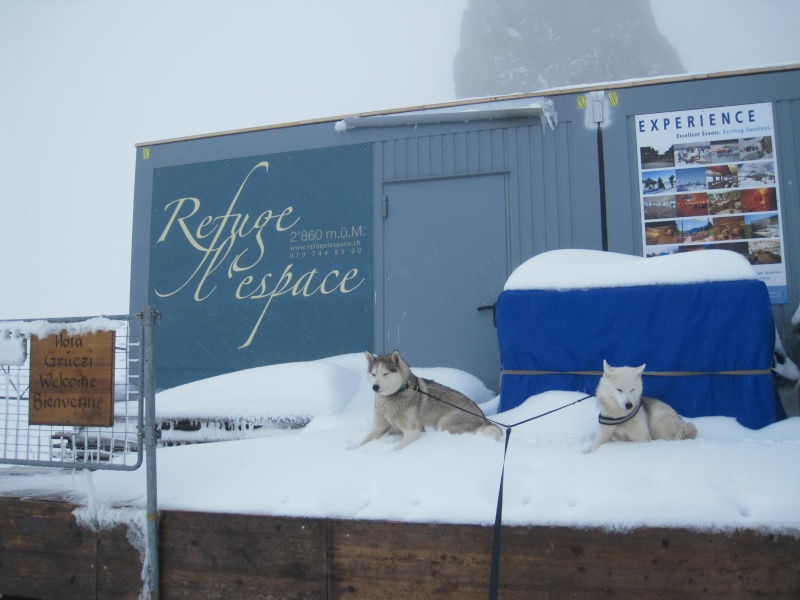 Saskia et Jiro, partie 2 3115