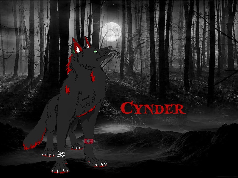 || Cynder || Dispersal Wolf || Earth || ♂ || The Son Of The Shaman || - Page 3 Cynder11