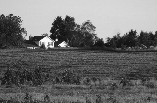 Fields at sunset Img_0311