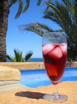 Apéritif - Tinto de Verano 2010_010