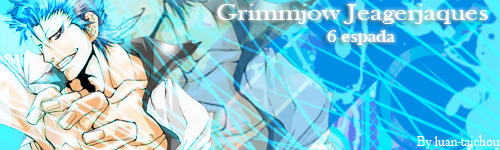 [DICA]~~Bleach Preview Grimm_10
