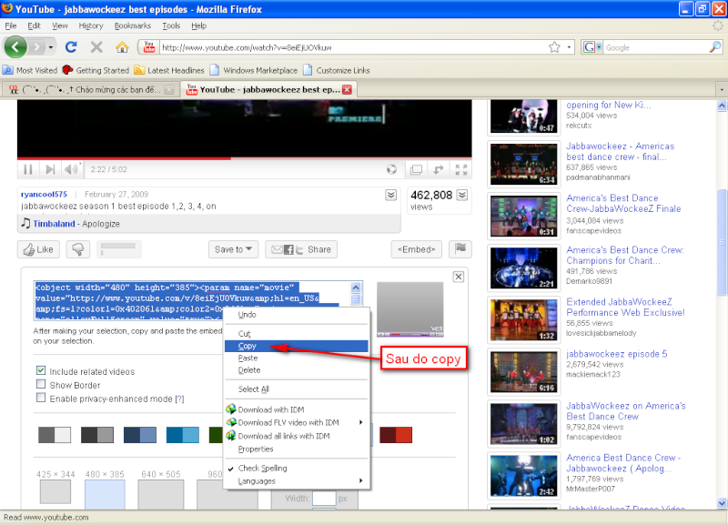 HD cách copy video trên Youtube 2010-010