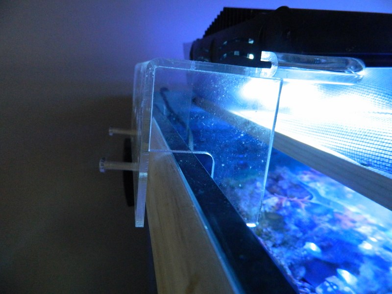 Rampe LED Bleu Aquarium - Page 2 Dscn8414