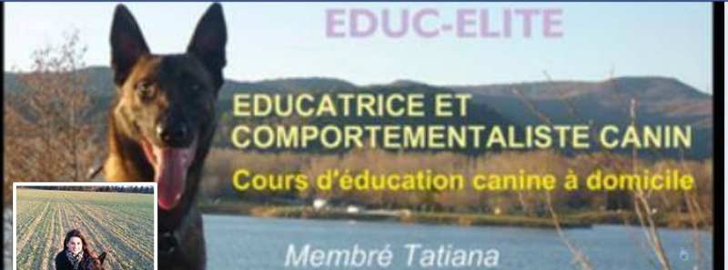 La trépidante actualité du Conseil national d’évaluation du système scolaire sur son site cnesco.fr Educ10