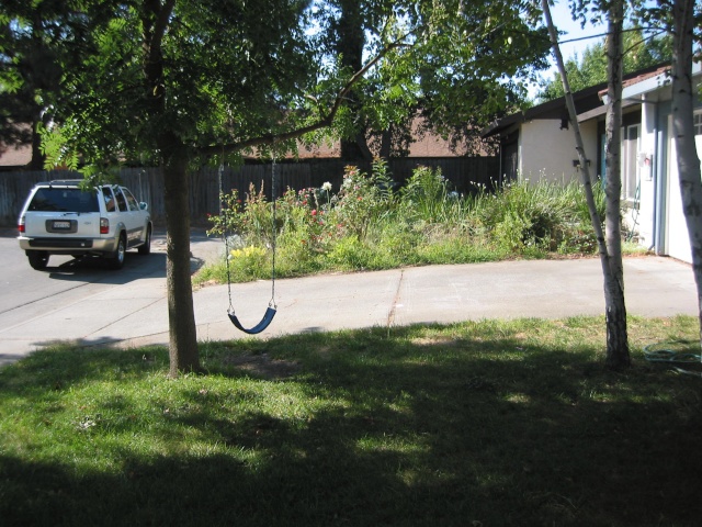 Driveway Gardening, & Heat Img_0114