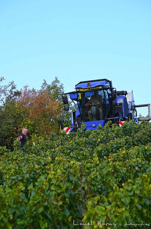 VENDANGES 2014 (4) 03_dsc25