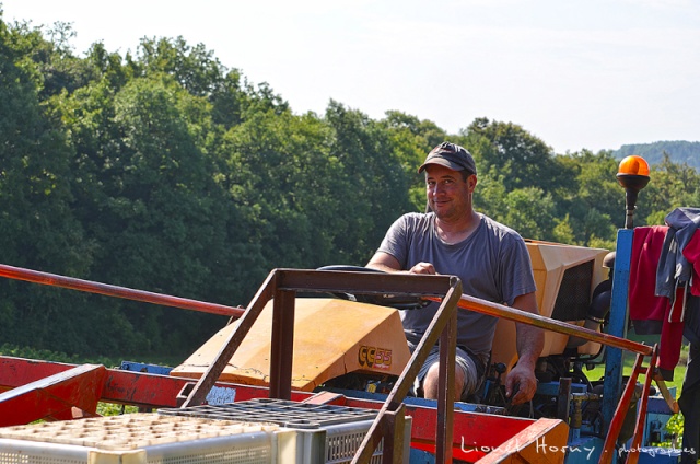 VENDANGES 2014 (1) 06_dsc23