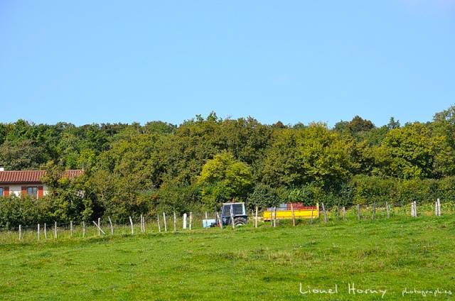 VENDANGES 2014 (2) 14_dsc22