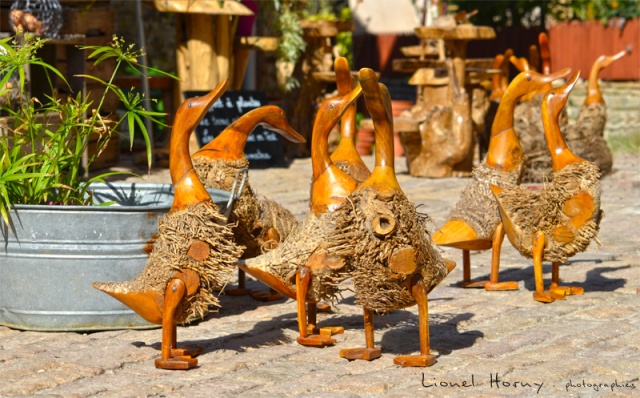 FOIRE aux PLANTES 2012 33_dsc10