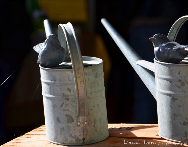 FOIRE aux PLANTES 2012 53_dsc10