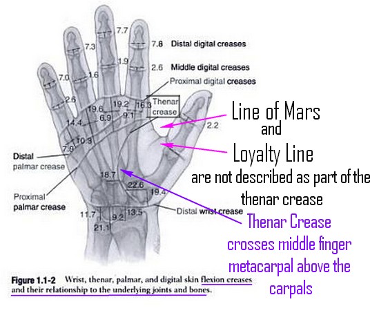 Any Body Can Give Any Answer For This (length life line) - Page 8 Bones_10