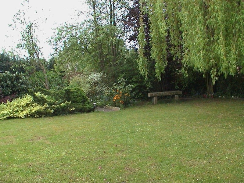 Jardinage en tout genre - Page 2 Photo_10