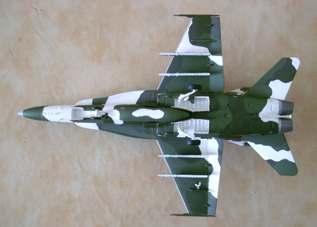 F-18B VFA-125 F210