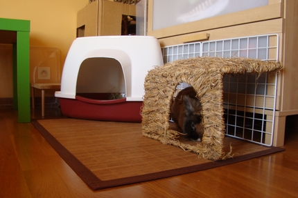 Habitation des lapins : exemples de cages, enclos ... - Page 26 Dsc08010