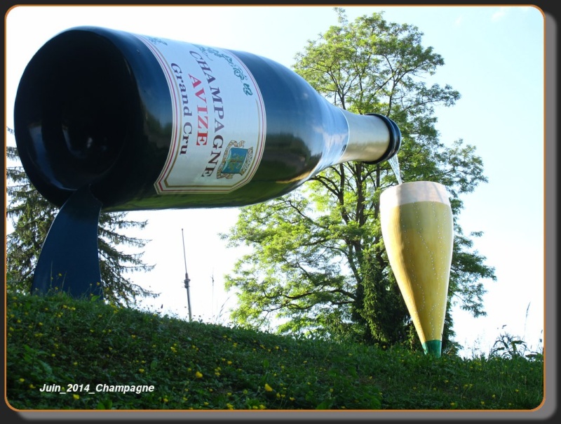 PHOTOS - Balade en Champagne - 7-8-9 Juin 2014 298310
