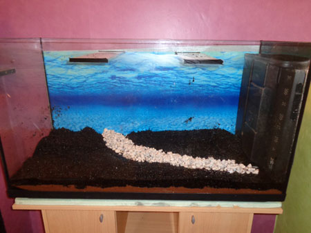 Mon aquarium de 200L Aquari13