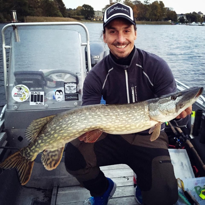 Zlatan à la pêche Zlatan10