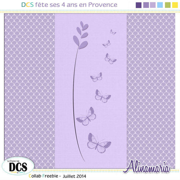 DCS fête ses 4 ans en Provence - juillet 2014 - Page 2 Aperau18
