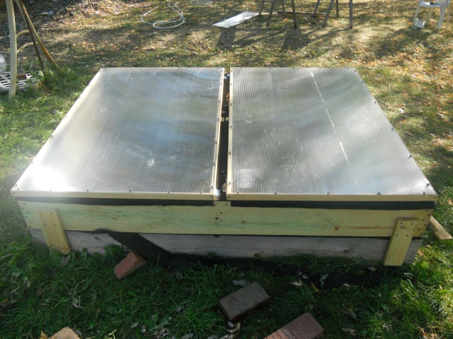 Cold frame - Page 2 Dscn1213