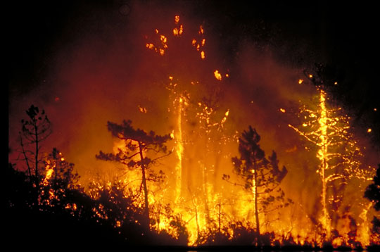 Incendie ! [mini-prophétie été 2012, bien sûr rp libre] Feu_de10