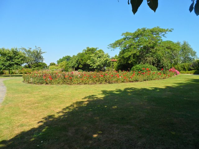 Parc floral - La Roseraie - Page 2 00216