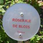 Parc floral - La Roseraie - Page 4 06810
