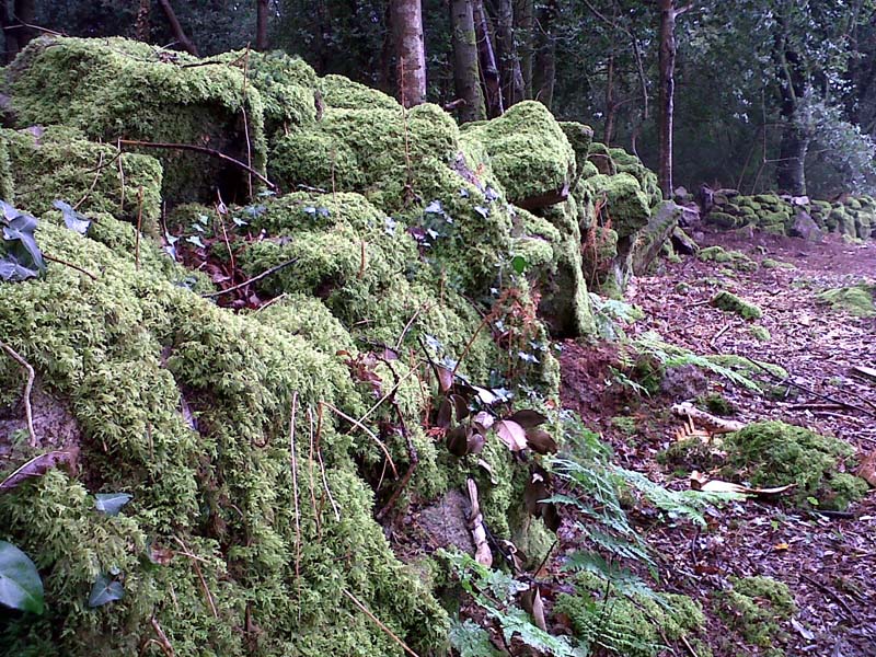 Rochers & cailloux - Page 3 14080910