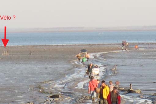 Retour de pêche à pied Bretag10