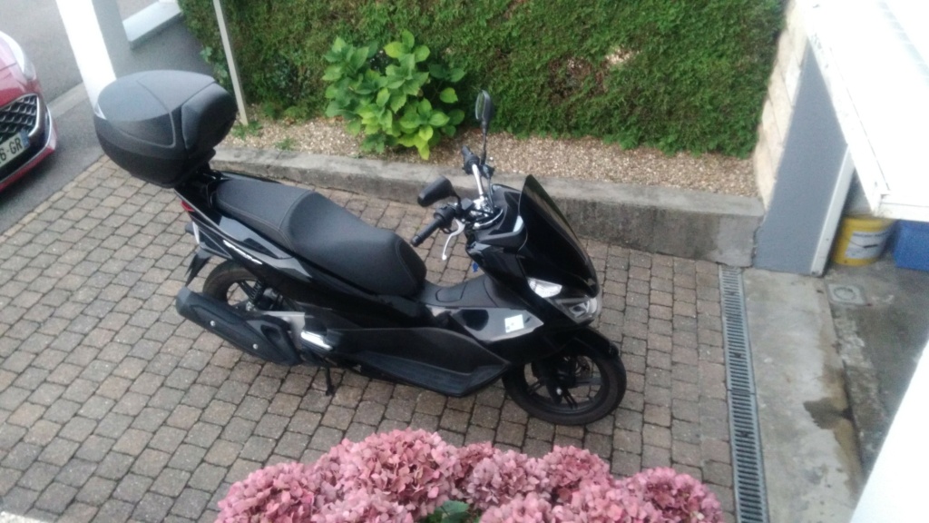 Nouvelle acquisition scoobite Black powaaaa  P_202053