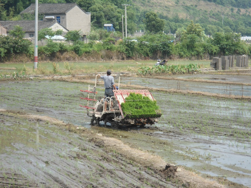 [Information] Autour de la Chine... - Page 5 Dsc04211