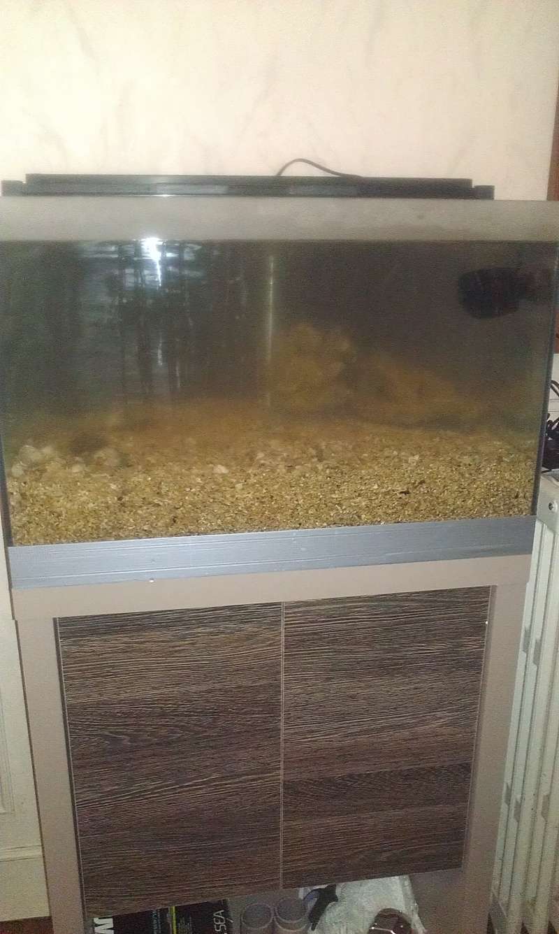 Mon premier récifal !! 91L 2014-117