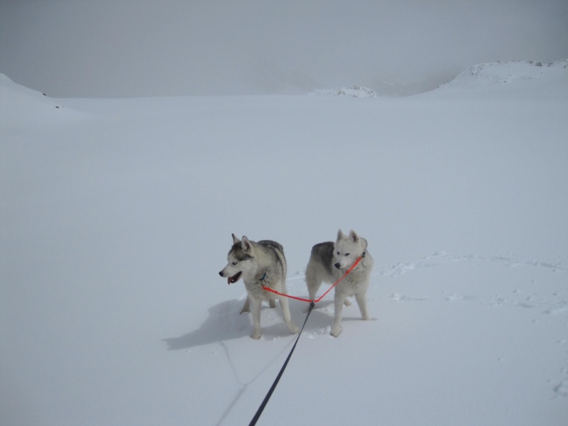 Saskia et Jiro, partie 2 6011