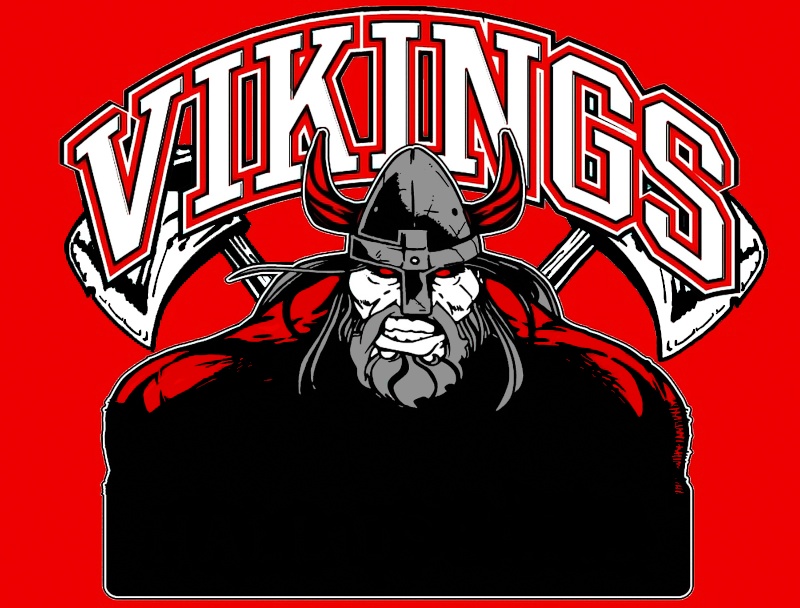 Logo VIKING Base10